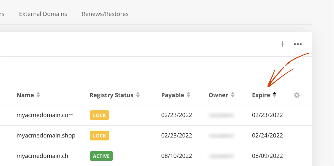 AutoDNS Portfolio expire column